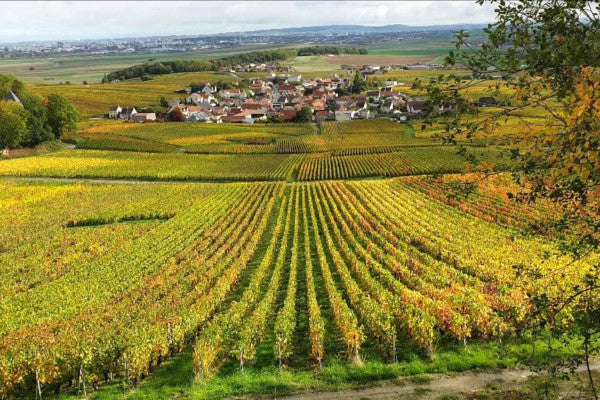 Lacourte-Guillemart