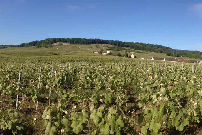 Labbé & Fils